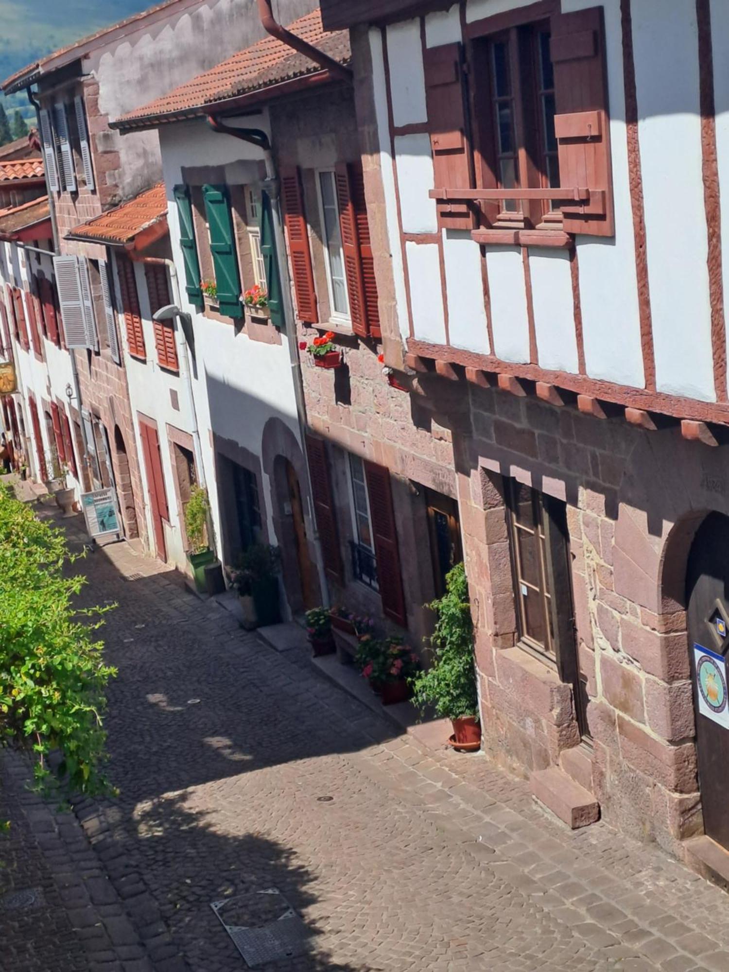 Maison Gohora Dago Saint-Jean-Pied-de-Port Kültér fotó